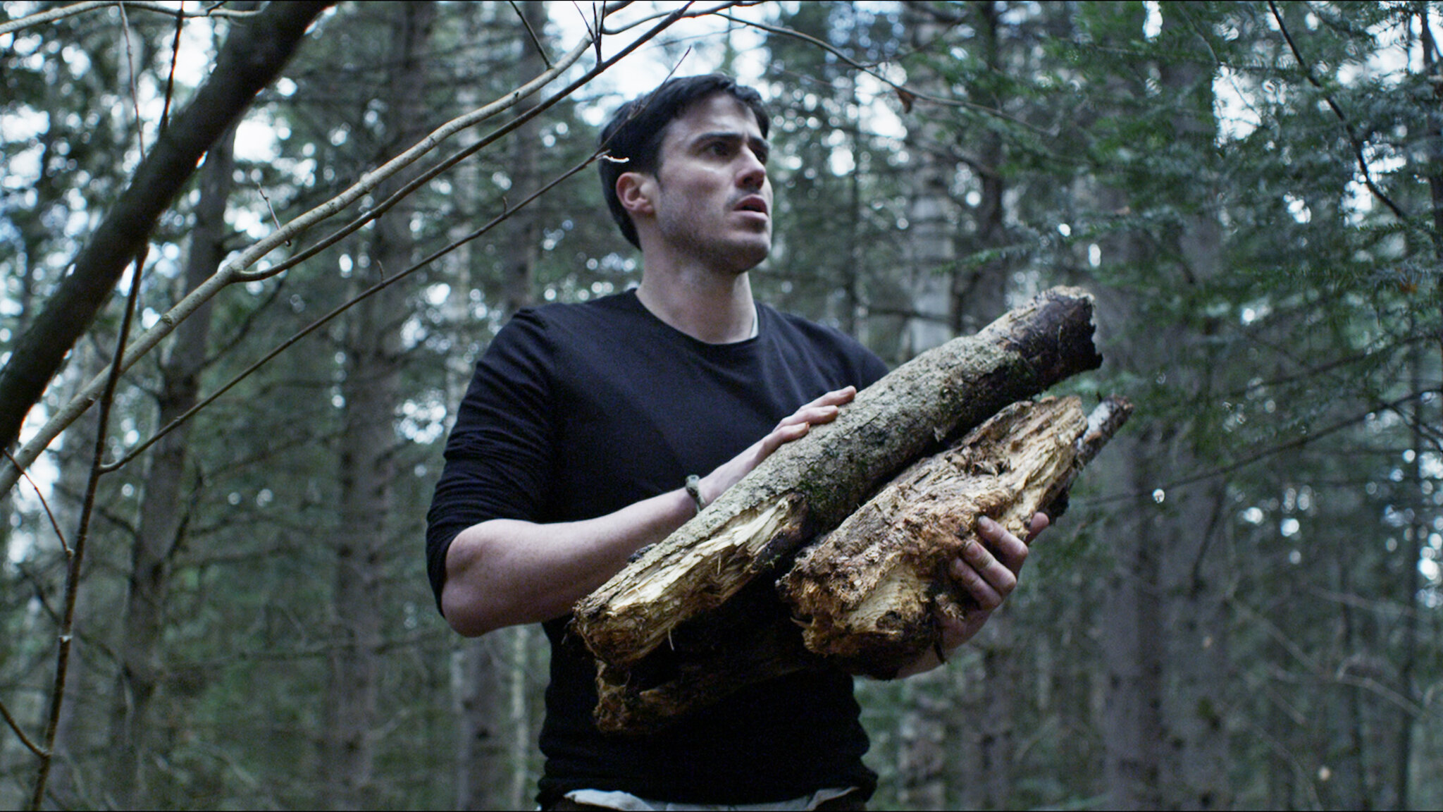 Watch Backcountry Netflix