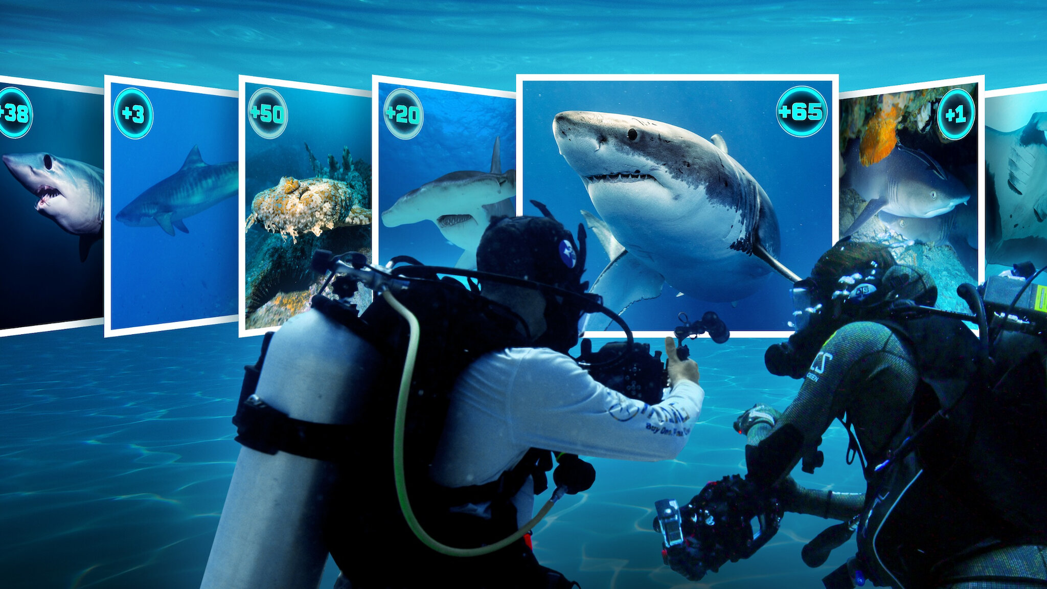 Watch All the Sharks Netflix Official Site Watch All the Sharks Netflix Official Site