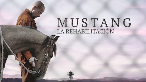 Mustang: La rehabilitación