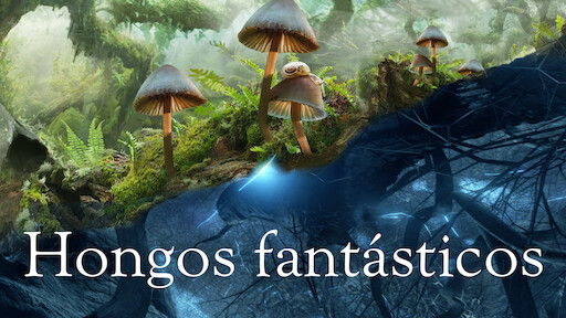 Hongos fantásticos