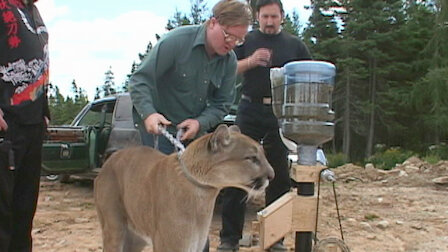 Watch Trailer Park Boys | Netflix Official Site
