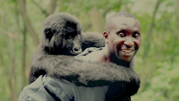 Watch Virunga | Netflix Official Site