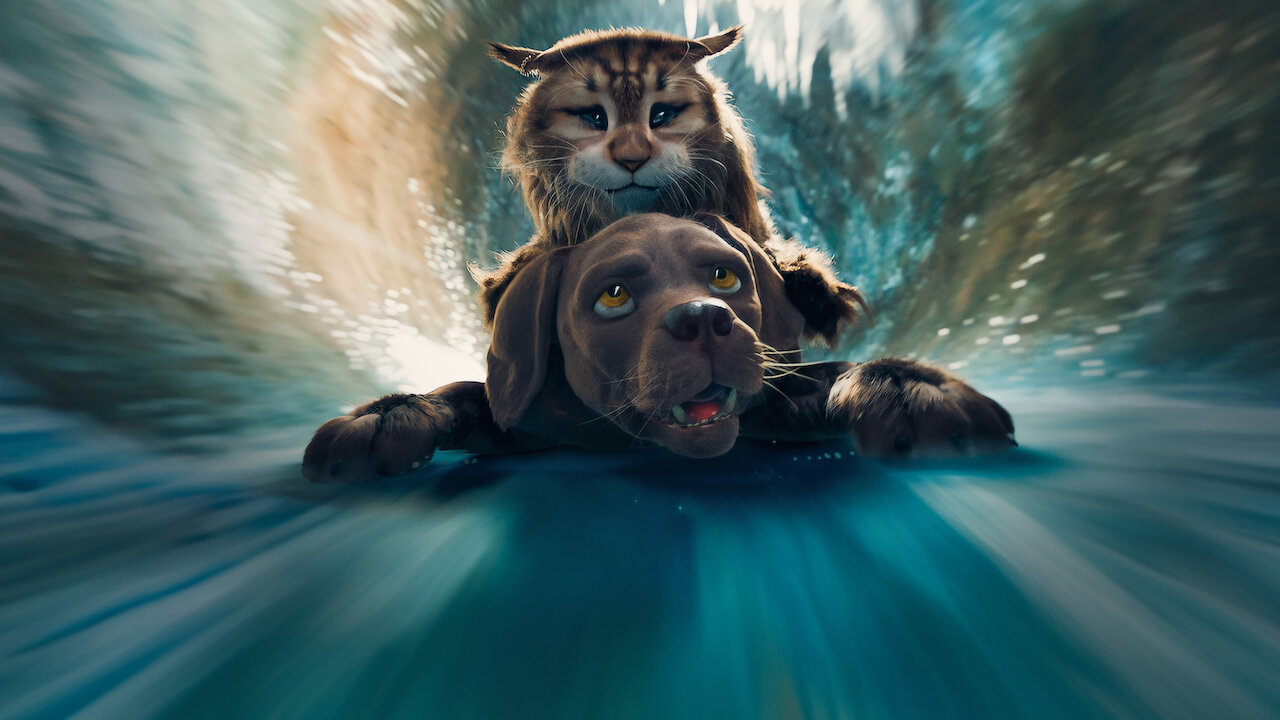 Perro y gata Netflix