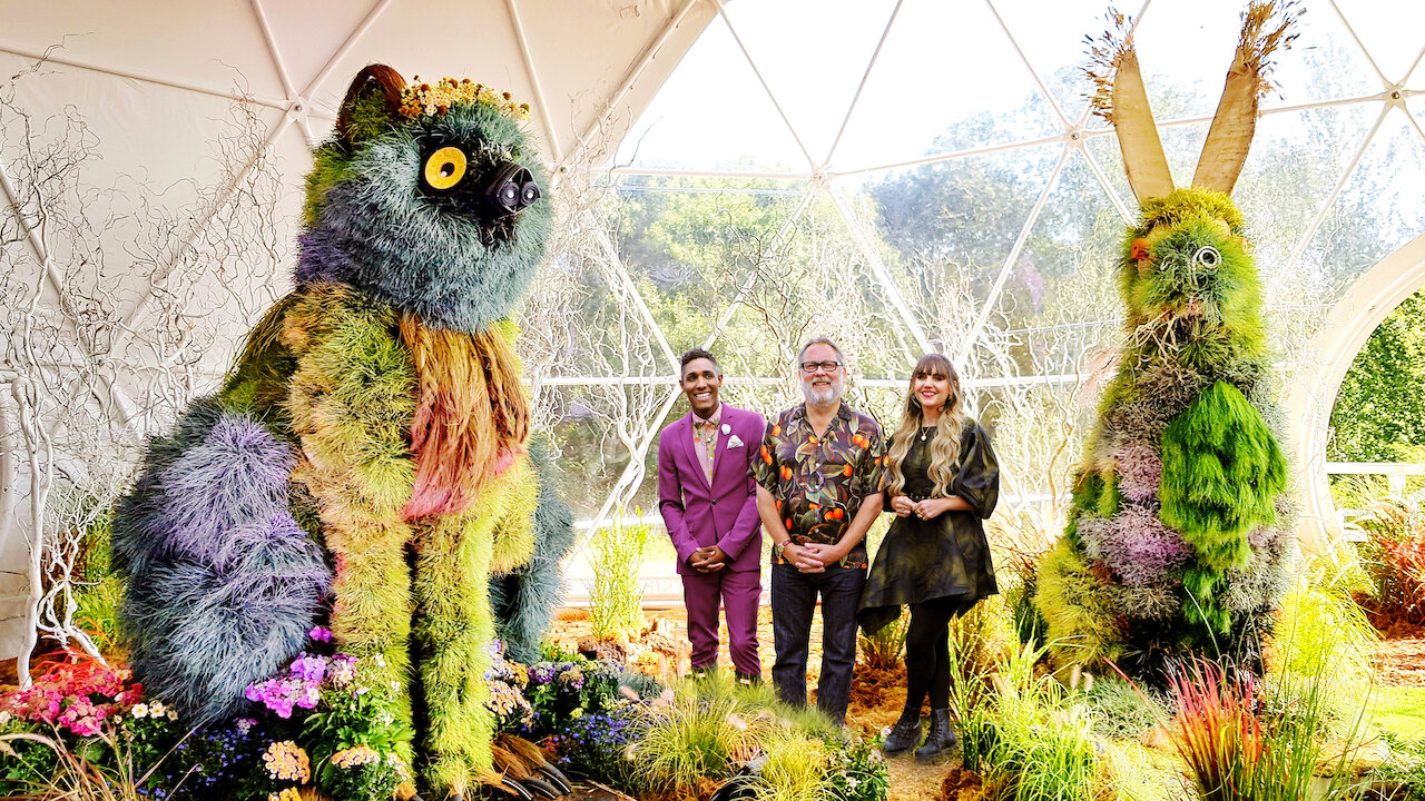 Watch The Big Flower Fight Netflix Official Site