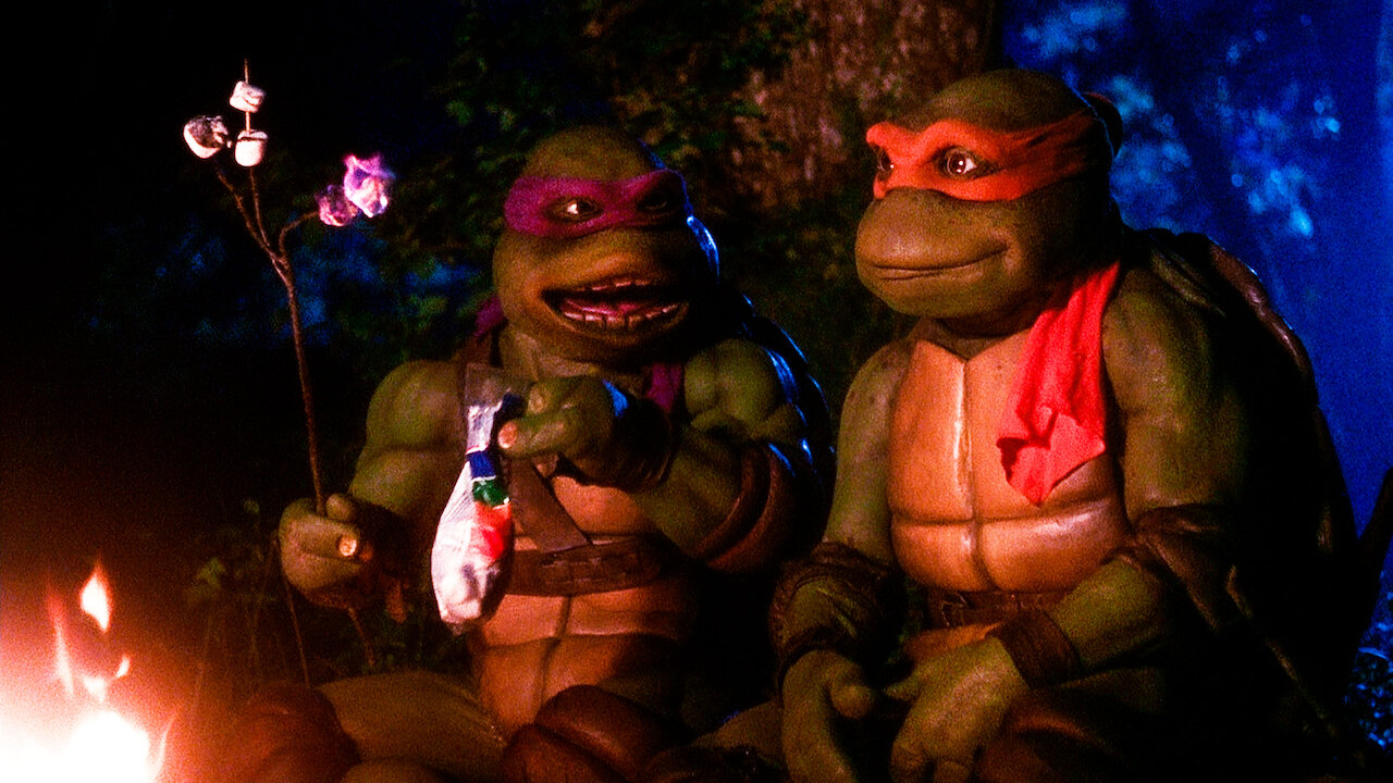 Watch Teenage Mutant Ninja Turtles The Movie Netflix