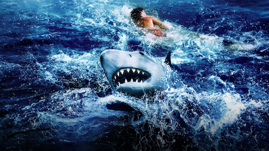 Les Dents De La Mer 2 Netflix