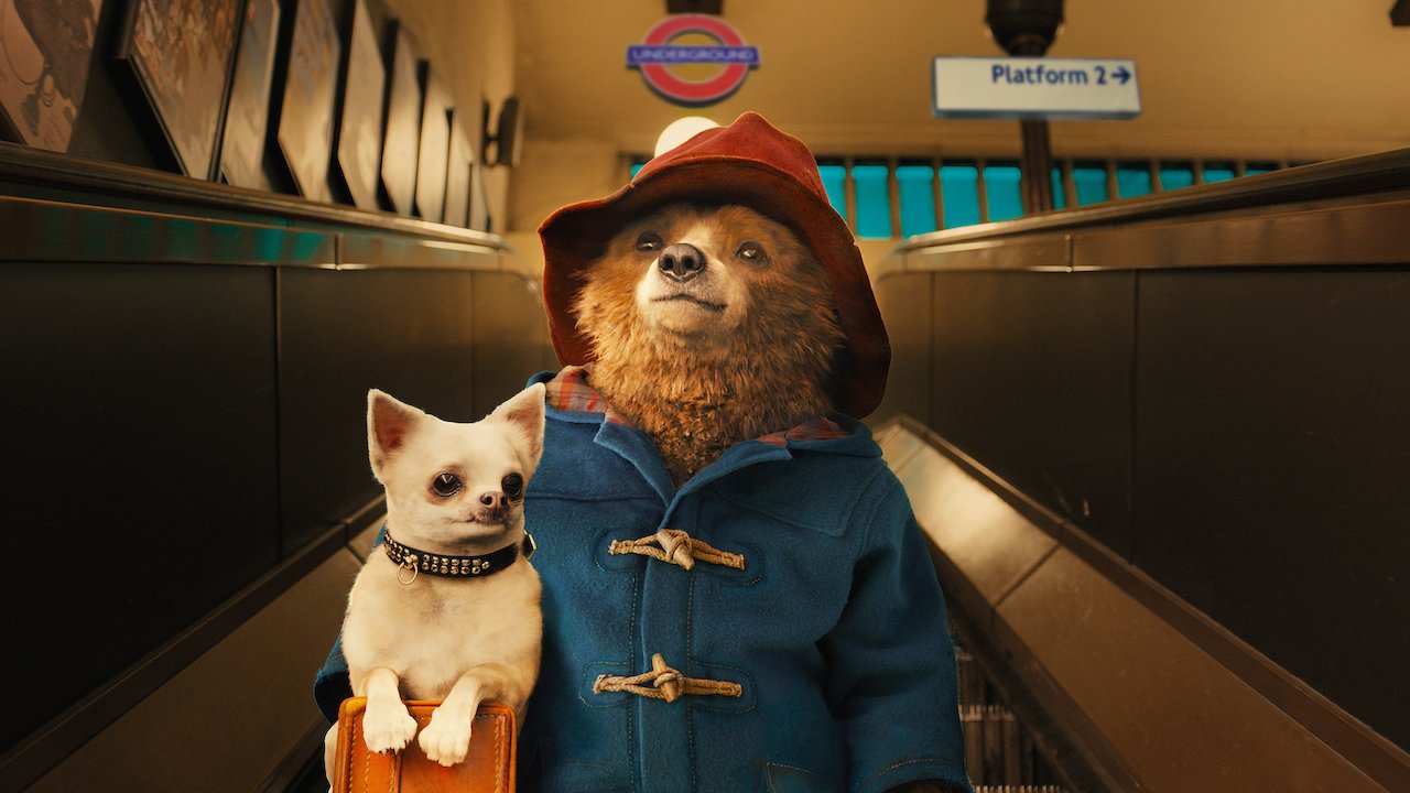 Paddington | Netflix