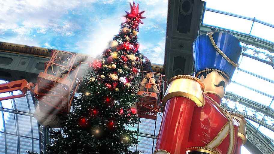 Netflix Tree Watch Extreme Christmas Trees | Netflix