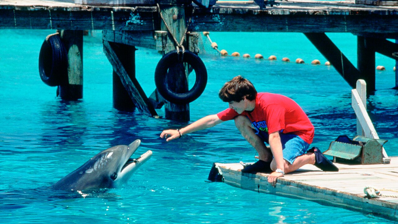 Flipper | Netflix