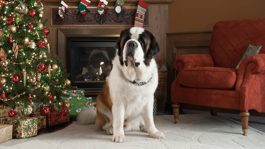 Watch Beethoven's Christmas Adventure Netflix