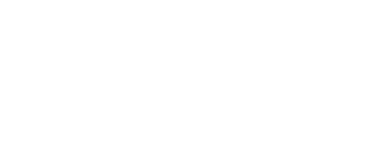 the bridge netflix