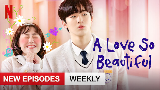 A Love So Beautiful Netflix