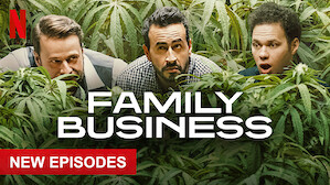 netflix series family business